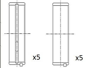Crankshaft Bearing